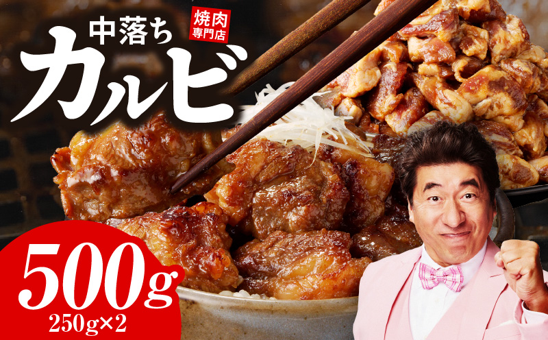 焼き肉専門店 自家製タレ漬け 中落ちカルビ 合計500g（250g×2）