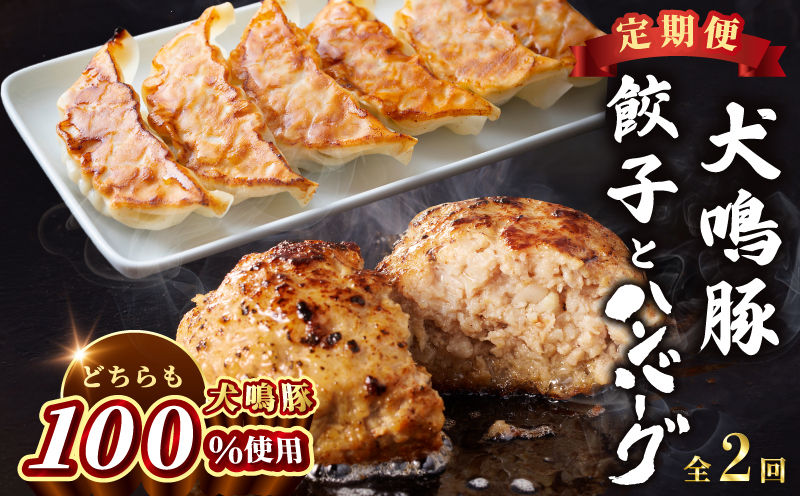 【泉佐野ブランド豚】犬鳴豚餃子 75個／手作りプレミアムハンバーグ（10個入り） 全2回【国産 豚肉 ぶたにく 定期便 食べ比べ 犬鳴ポーク 焼くだけ 人気 総菜 冷凍】