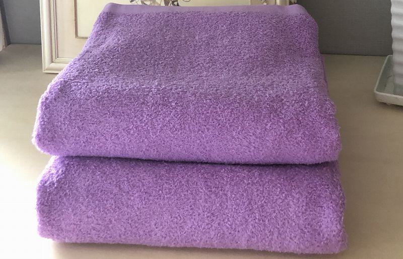 超大判バスタオル２枚セット（ロイヤルパープル）泉州タオル 90×170cm【泉州タオル 国産 吸水 普段使い 無地 シンプル 日用品 家族 ファミリー】