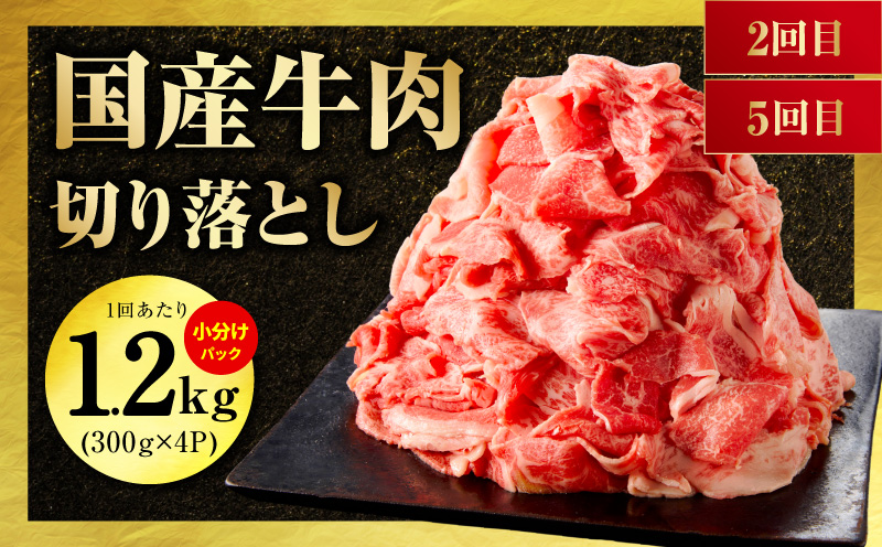 国産 牛肉 豚肉 鶏肉 定期便 6回 総量 8.4kg 【氷温熟成×極味付け 3種 食べ比べ 普段使い 味付き 小分け 訳あり サイズ不揃い 毎月配送コース】