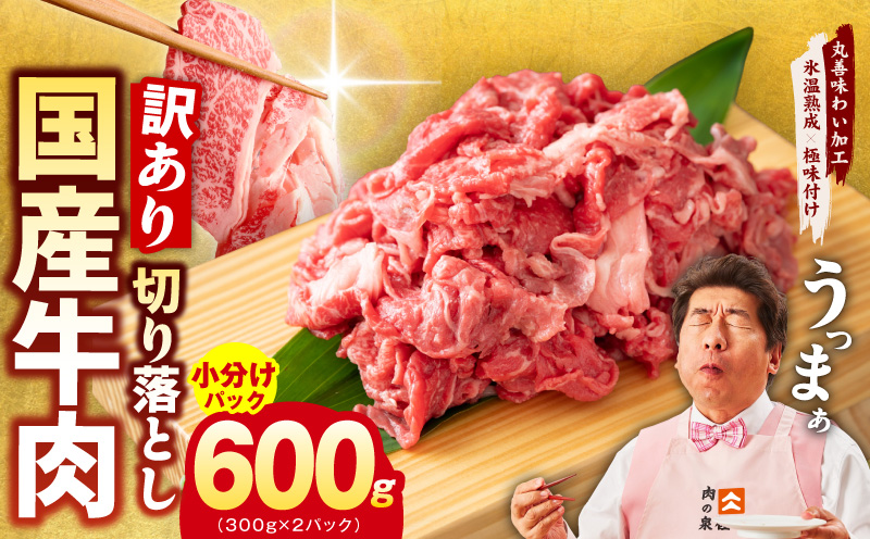 国産牛 切り落とし 600g 小分け 300g×2P【氷温熟成×極味付け 国産 牛肉 訳あり サイズ不揃い カレー 牛丼 野菜炒め 肉じゃが 家計応援】