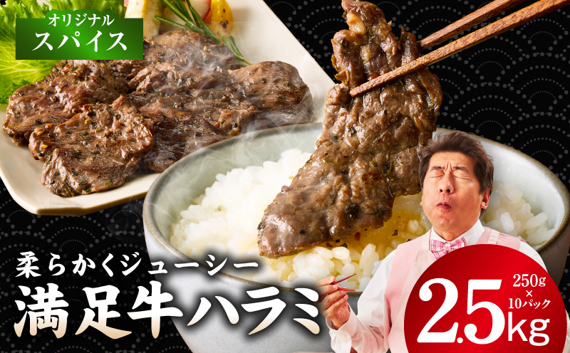 【満足牛ハラミ】オリジナルスパイス仕込み 合計2.5kg 【味付け ハラミ 小分け 焼くだけ 簡単調理 BBQ 牛肉 250g×10P】