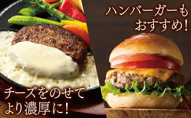 桜文 馬肉ハンバーグ 総量2.4kg（120g×20個） 個包装