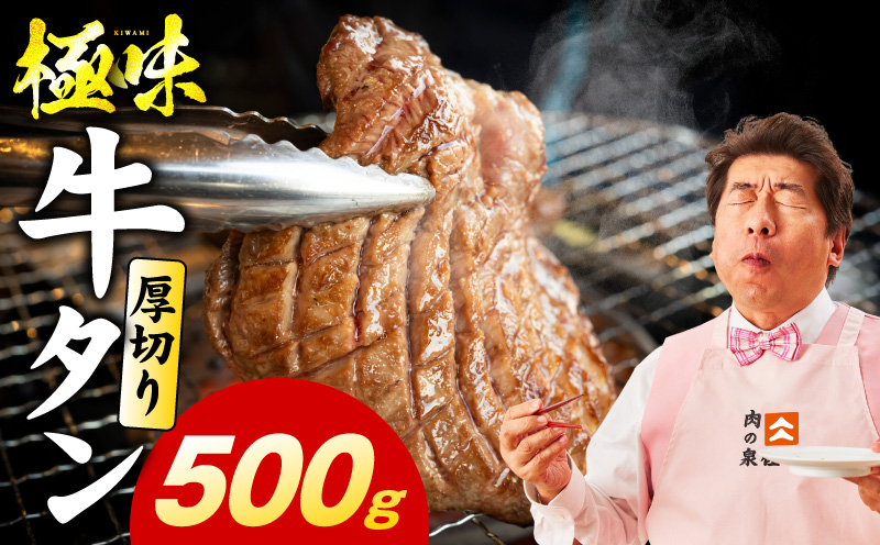 厚切り牛たん 500g【氷温熟成×旨塩ダレ 味付き 訳あり サイズ不揃い 500g 小分け 焼くだけ 焼肉】