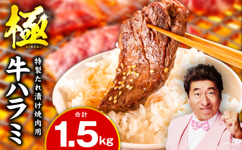 牛肉 ハラミ 1.5kg 小分け 300g×5P【氷温熟成×特製ダレ 味付き 牛肉 訳あり 不揃い 焼肉 BBQ 野菜炒め 圧倒的企業努力】