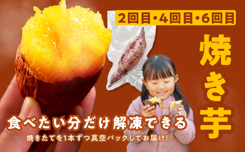 ãå®æäŸ¿ãå¹²ãè 600g/çŒãè1kg å
š6å 亀äºäŸ¿ãã»ããã è ãã ç¡æ·»å çŽ
ã¯ãã å¹²ããã ãã〠ãµããã€ã¢ ãã€ãŸããã