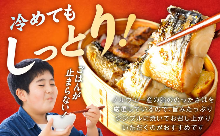 【定期便】塩さば 1kg（250g×4P）全6回【お弁当サイズ 生活応援 サバ 小分け 青魚 塩鯖 塩サバ 切身 塩焼き 焼きさば 焼き鯖 人気 冷凍 冷凍食品 おかず 惣菜 訳あり サイズ不揃い 大阪 泉佐野 大阪府 泉佐野市】