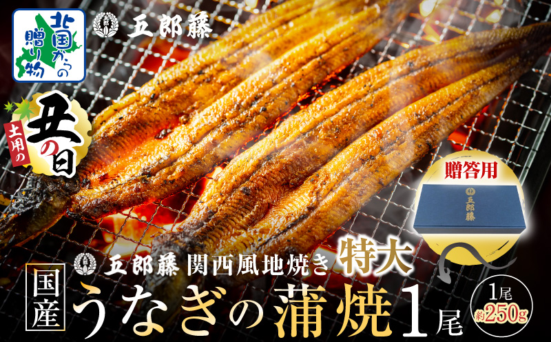 【7/26土用の丑の日】五郎藤 関西風地焼き 国産有頭旨鰻 250g×1尾 計約250g 【贈答用 特大 うなぎ ウナギ 蒲焼き 炭火】