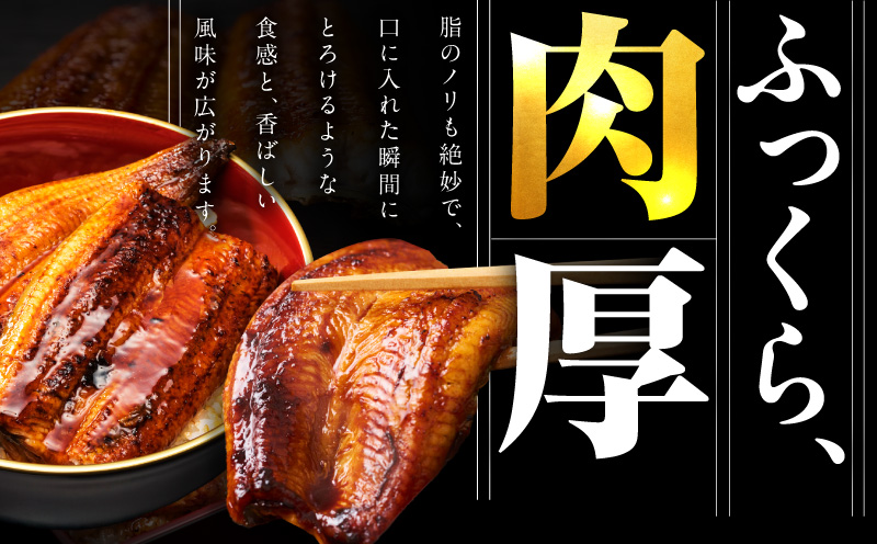 ã7/26åçšã®äžã®æ¥ãããªã æŽãçã 250gïŒ2ã«ããïŒãèŠæ Œå€ ã詊ã é°» ãã°çŒã ç°¡å調ç èš³ãã ãµã€ãºäžæã äººæ° æ£è ããªé ããªäžŒ ã²ã€ãŸã¶ãã