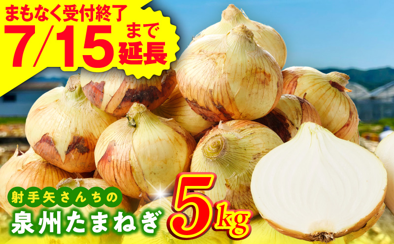 【7月15日受付終了】泉州たまねぎ 5kg 玉ねぎ 射手矢農園【タマネギ 玉葱 甘い 野菜 国産 期間限定 オニオン スライス サラダ カレー シチュー バーベキュー BBQ 肉じゃが TVで紹介！ 大阪 泉佐野 大阪府 泉佐野市】