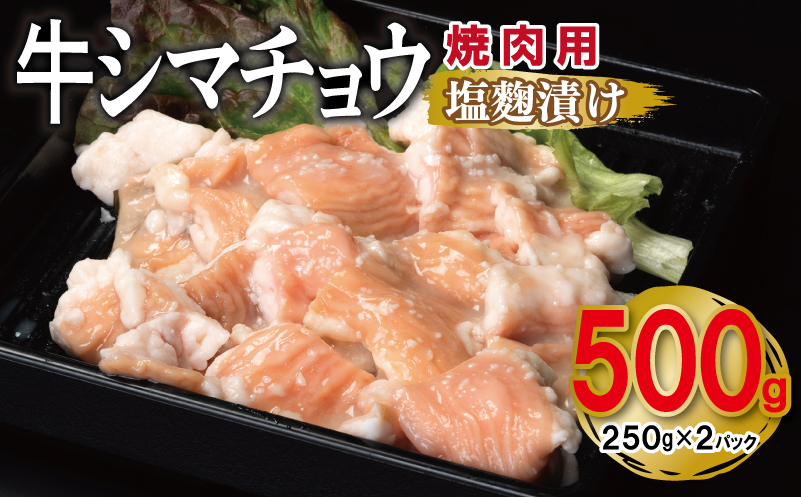 牛シマチョウ 焼肉用 塩麹漬け 500g【味付け 小分け 250g×2P 焼くだけ 簡単調理 BBQ 牛肉 ホルモン お試し 普段使い】