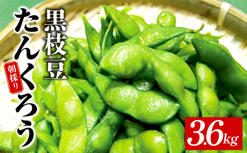 【先行予約】黒枝豆 3.6kg 【新鮮 野菜 泉佐野産 えだまめ やさい TONOファーム 高評価 数量限定 畑から直送 朝採り】