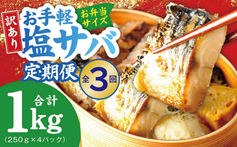 【定期便】塩さば 1kg（250g×4P）全3回【お弁当サイズ 生活応援 サバ 小分け 青魚 塩鯖 塩サバ 切身 塩焼き 焼きさば 焼き鯖 人気 冷凍 冷凍食品 おかず 惣菜 訳あり サイズ不揃い 大阪 泉佐野 大阪府 泉佐野市】