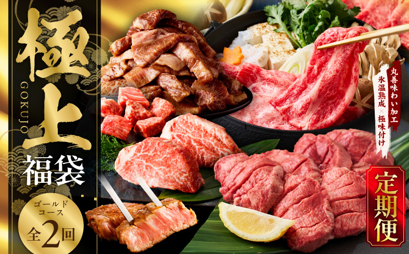 極上福袋 定期便 ゴールドコース 全2回【5種 食べ比べ 牛肉 ステーキ 牛タン 焼肉 しゃぶしゃぶ すき焼き 氷温熟成×極味付け 毎月配送コース】