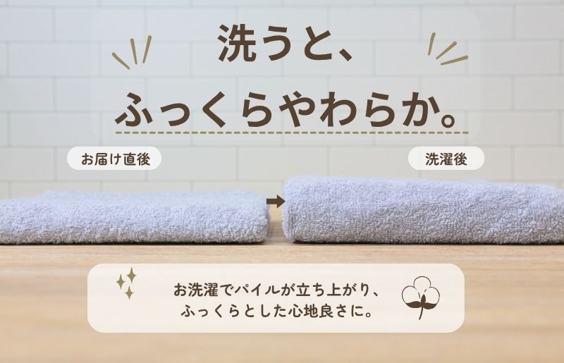 デイリーフェイスタオル 10枚セット (ライトグレー）【国内製造 日本製 泉州タオル スーピマコットン 無地 吸水力 耐久性 大阪 泉佐野 大阪府 泉佐野市】