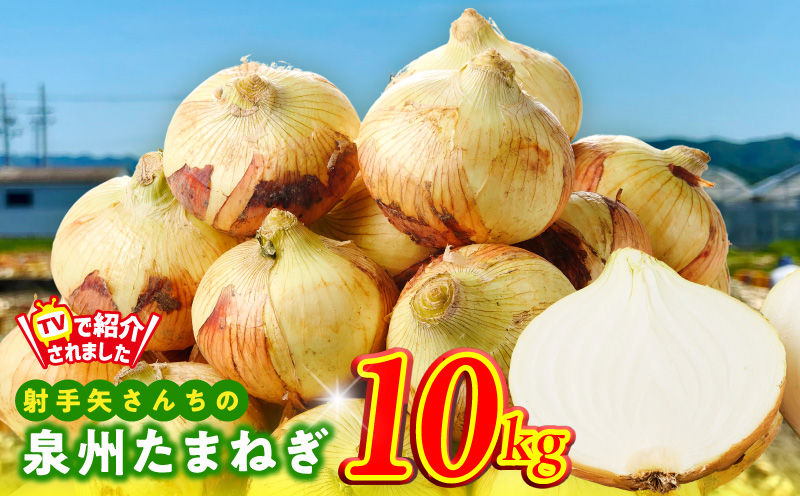 泉州たまねぎ 10kg 玉ねぎ 射手矢農園【タマネギ 玉葱 甘い 野菜 国産 期間限定 オニオン スライス サラダ カレー シチュー バーベキュー BBQ 肉じゃが 大阪 泉佐野 大阪府 泉佐野市】
