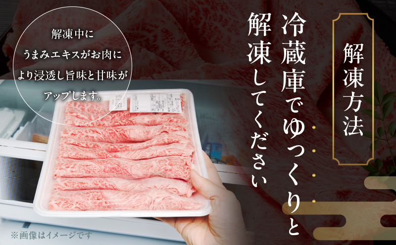 【スピード発送】A4ランク 黒毛和牛 すきしゃぶ用 500g【氷温熟成×極味付け すき焼き しゃぶしゃぶ 切り落とし スライス 牛肉 訳あり サイズ不揃い 家計応援 大阪 泉佐野 大阪府 泉佐野市】