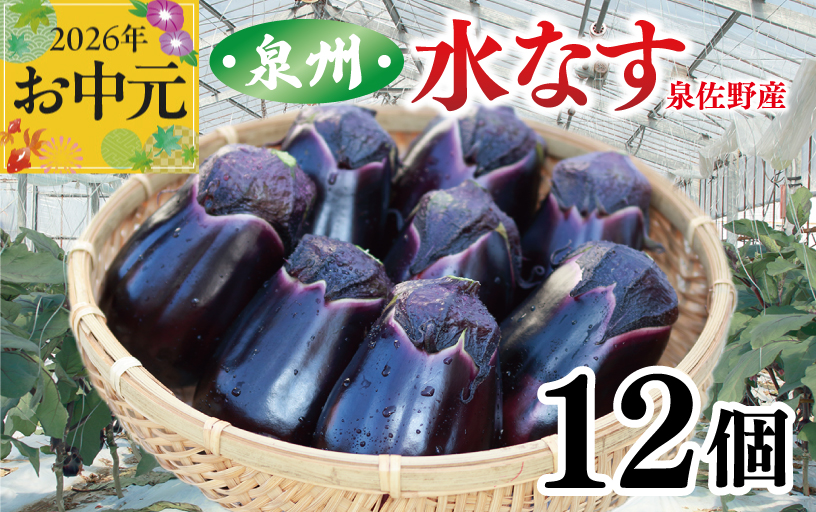 【お中元対応】泉州 泉佐野市産 ハウス水なす 12個【茄子 泉佐野産 とれたて 新鮮野菜 やさい 高評価】