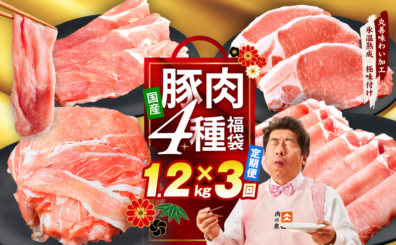 【定期便】国産 豚肉 4種 総量 1.2kg×3回【氷温熟成×極味付け 300g×4P 小分け ぶたにく 普段使い 野菜炒め】