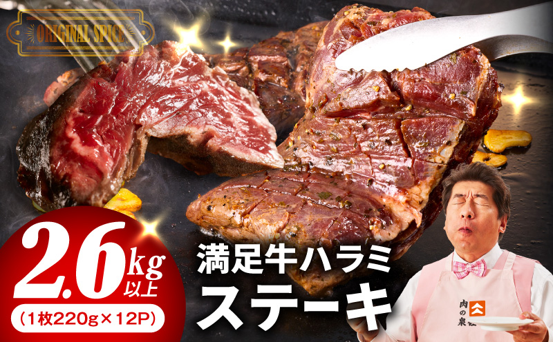 【満足牛ハラミステーキ】オリジナルスパイス仕込み 1枚220g×12P 合計2.64kg 【味付け ハラミ ステーキ 小分け 焼くだけ 簡単調理 BBQ 牛肉 普段使い】