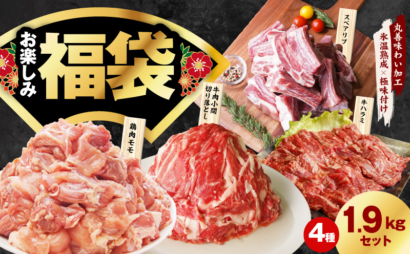 肉福袋 4種 1.9kg 焼肉セット（牛肉 切り落とし／牛ハラミ／豚肉 スペアリブ／鶏肉）【氷温熟成×極味付け 焼くだけ 食べ比べ ふくぶくろ お楽しみ 簡単調理】