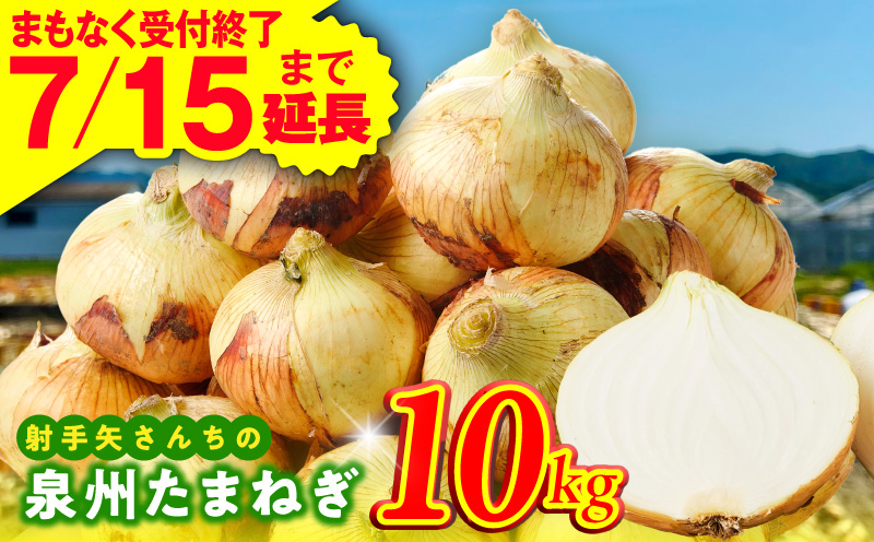 【7月15日受付終了】泉州たまねぎ 10kg 玉ねぎ 射手矢農園【タマネギ 玉葱 甘い 野菜 国産 期間限定 オニオン スライス サラダ カレー シチュー バーベキュー BBQ 肉じゃが 大阪 泉佐野 大阪府 泉佐野市】
