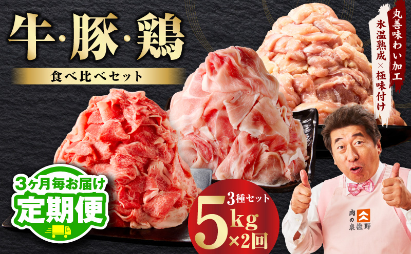 【定期便】国産 牛肉＆豚肉＆鶏肉セット 5kg×全2回【氷温熟成×極味付け 3種 食べ比べ 普段使い 味付き 小分け 訳あり サイズ不揃い  2026年3月＆6月発送】