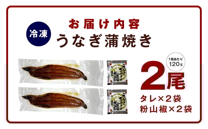【7/26土用の丑の日】老舗「五郎藤」関西風地焼き 国産有頭旨鰻 計約240g前後【120g×2尾 うなぎ ウナギ 蒲焼き 炭火】