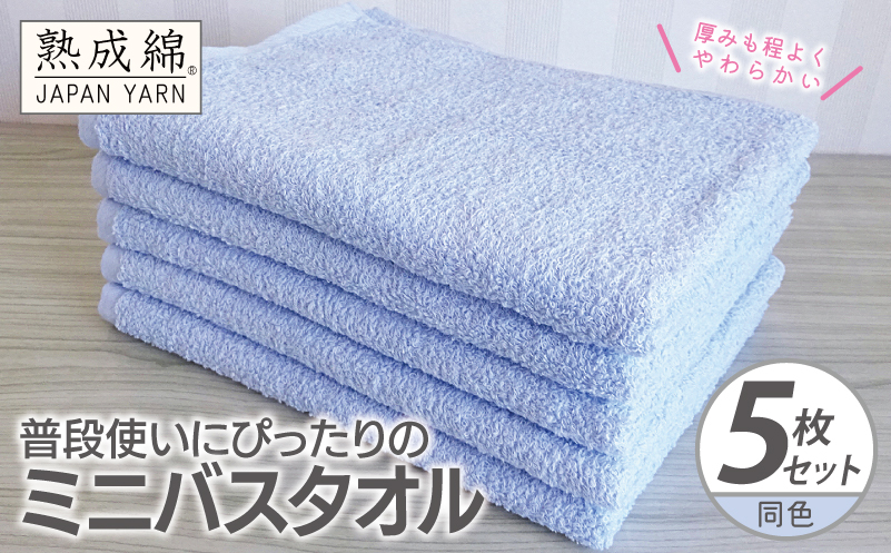 普段使いにぴったりのミニバスタオル 5枚【サックス 泉州タオル 高品質 綿100％ 日本製 国産 単色 シンプル】