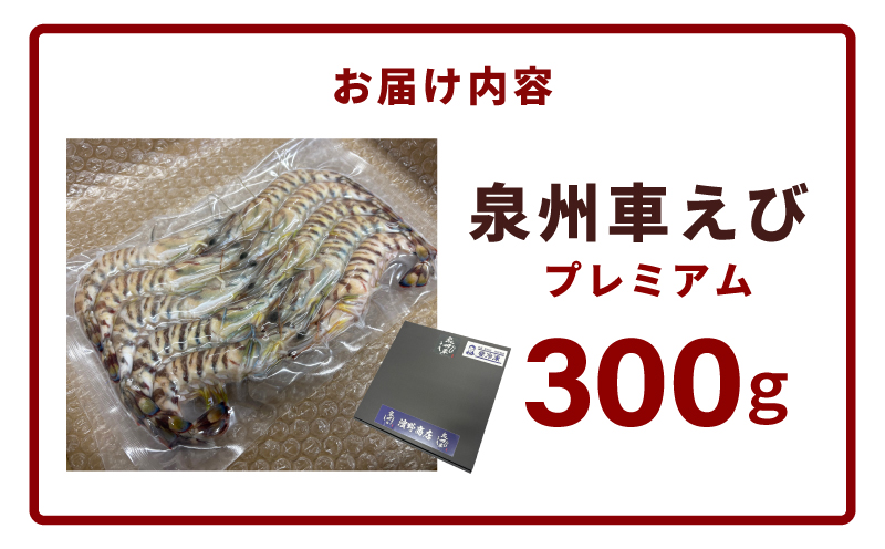 【TVで紹介！】泉州車えび 300g【生食可 海鮮 車海老 車エビ 海老 えび エビ 刺身 産地直送 急速冷凍 鮮度抜群】