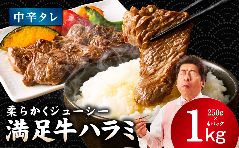 【満足牛ハラミ】中辛タレ漬け 合計1kg 【味付け ハラミ 小分け 焼くだけ 簡単調理 BBQ 牛肉 250g×4P】