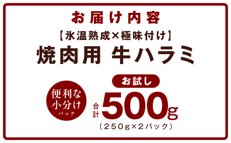 ãã詊ããçè ãã©ã 500gïŒ250gÃ2PïŒãæ°·æž©çæÃ極å³ä»ãã