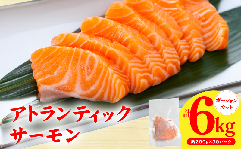 アトランティックサーモン 6kg【小分け 200g×30P 柵切り 刺身 魚介 海鮮 さーもん 生食 お試し】