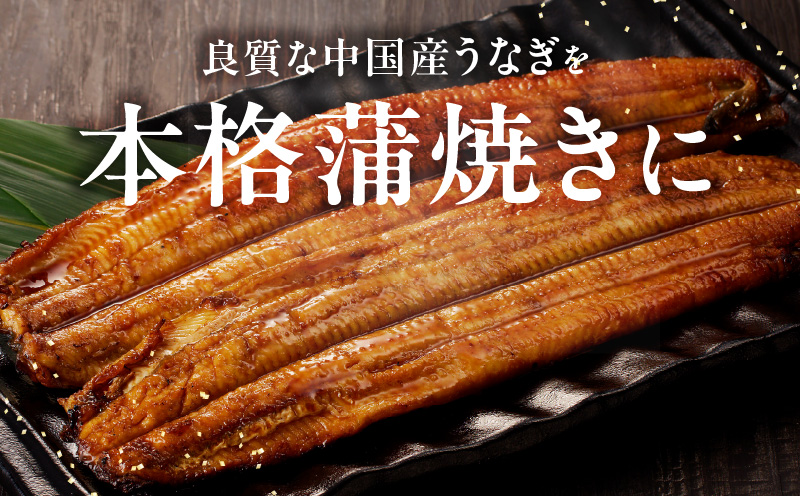 秘伝のたれ仕込み うなぎ蒲焼 合計 320g（約160g×2尾）鰻 ウナギ 中国産 温めるだけ 簡単 レンジ調理 ふっくらふわふわ 炭火焼き 備長炭 手焼き