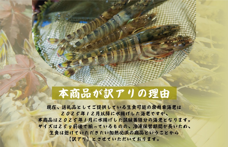 ãã¹ããŒãçºéãèš³ã¢ãªïŒã詊ã å ç±èª¿ççš æ³å·è»æµ·è250gãTVã§ç޹ä»ãããŸããïŒ å§åçäŒæ¥åªåã