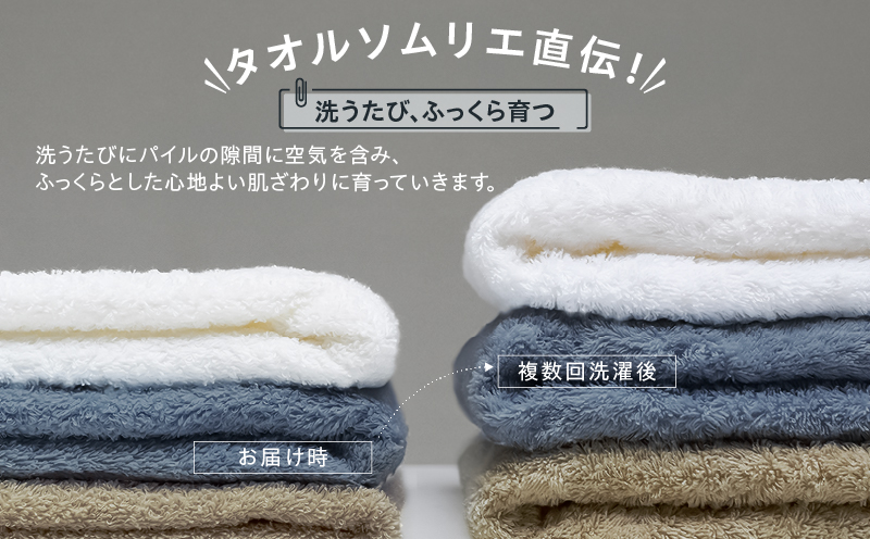 【スピード発送】ファミーユ ミニバスタオル 6枚（ナイトブルー） 【フェイスタオル 以上 バスタオル 未満 泉州タオル 吸水 普段使い シンプル 日用品 たおる】