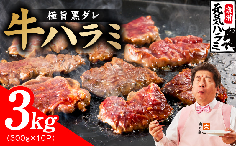 【新登場】極旨黒ダレ 牛ハラミ肉 3kg（300g×10P）【牛肉 はらみ 小分け 焼肉 お弁当 BBQ 訳あり ワケアリ わけあり サイズ不揃い 規格外 TVで話題 大阪 泉佐野 大阪府 泉佐野市】