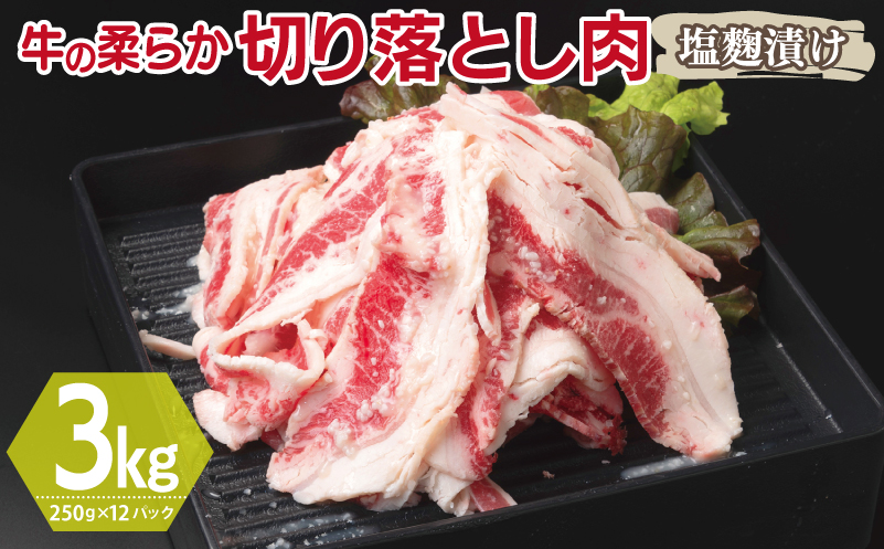 牛肉 切り落とし 塩麹漬け 合計3kg【味付け 小分け 焼くだけ 簡単調理 BBQ 牛肉 250g×12袋】