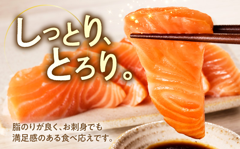 アトランティックサーモン 600g+ちりめん山椒150g【小分け ポーション 柵切 ちりめん 刺身 魚介 海鮮 さーもん 生食 お試し 大阪 泉佐野 大阪府 泉佐野市】