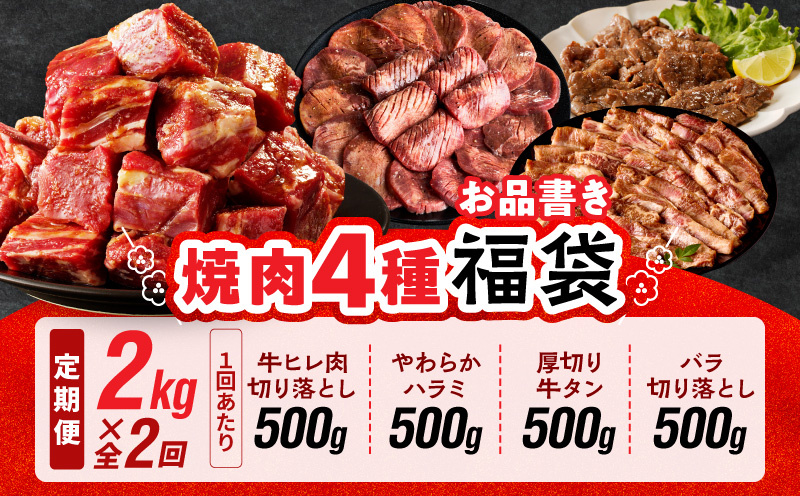 焼肉 福袋 4種セット 定期便 2kg×2回【氷温熟成×特製ダレ 食べ比べ 小分け 500g 牛肉 牛タン ヒレ ハラミ バラ 数量限定 毎月配送コース】