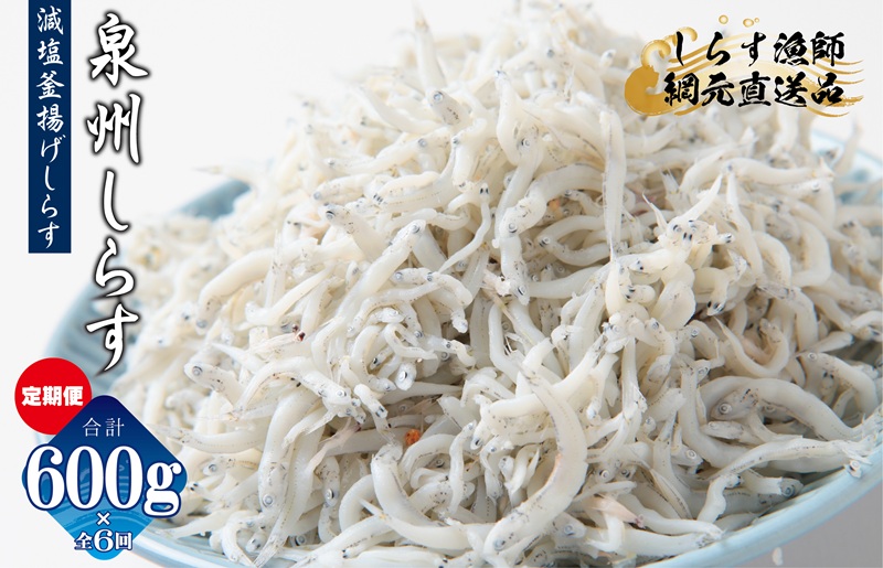 減塩 釜揚げしらす 600g×全6回【定期便 小分け シラス しらす sirasu 海鮮 人気 おすすめ 産地直送】