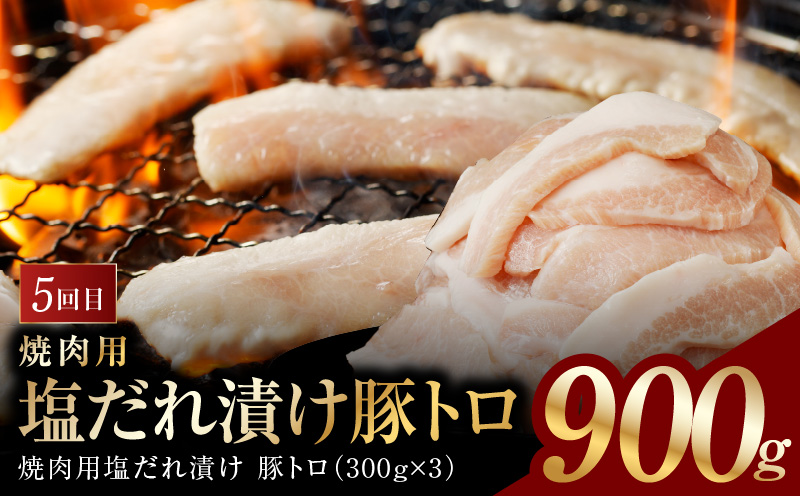 アキラ商店 肉三昧 わくわく 定期便 全5回【毎月配送コース お楽しみ 焼肉 ていきびん 焼くだけ 小分け BBQ やきにく 数量限定 大阪 泉佐野 大阪府 泉佐野市】