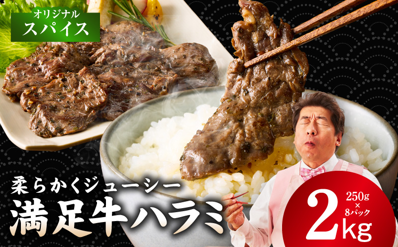 【満足牛ハラミ】オリジナルスパイス仕込み 合計2kg 【味付け ハラミ 小分け 焼くだけ 簡単調理 BBQ 牛肉 250g×8P】