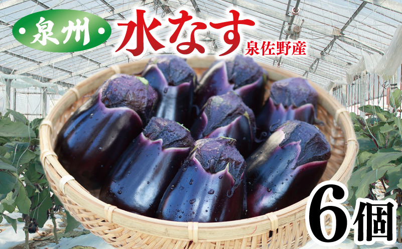泉州 泉佐野市産 ハウス水なす 6個 夏旬の水なすを冬にどうぞ！