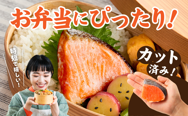 鮭の切り身 500g（11〜13切れ）【お弁当 訳アリ 不揃い 切身 サケ さけ しゃけ シャケ 魚介 海鮮 魚 さかな】