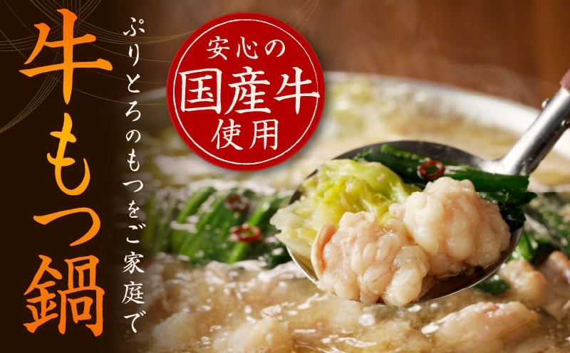 牛もつ鍋セット 15人前【国産 牛肉 ホルモン 塩こうじ スープ付き モツ 鍋 高評価 冷凍 鍋セット 簡単調理】