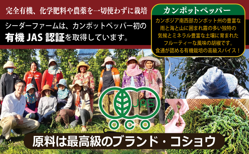 生胡椒ディップ エメラルドの雫（シズク）70g×2本【胡椒 こしょう コショウ 缶詰 缶詰め かんづめ 防災 防災用品 備蓄】