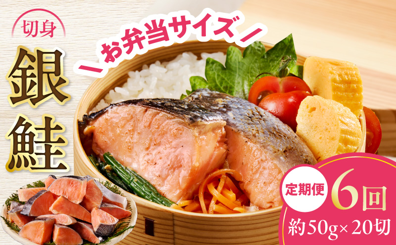 【定期便】銀鮭 切身 約50g×20切れ 全6回【お弁当サイズ 小分け 漁師 手切り 1kg さけ サケ 切り身 弁当 朝食 時短 訳あり サイズ不揃い 規格外 冷凍食品】