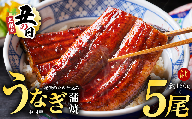 【土用の丑の日までにお届け】うなぎ蒲焼 合計800g【約160g×5尾 特製タレ付 鰻 ウナギ 中国産 レンジ 温めるだけ 簡単調理 ふわふわ 炭火焼き 備長炭 手焼き 大阪 泉佐野 大阪府 泉佐野市】