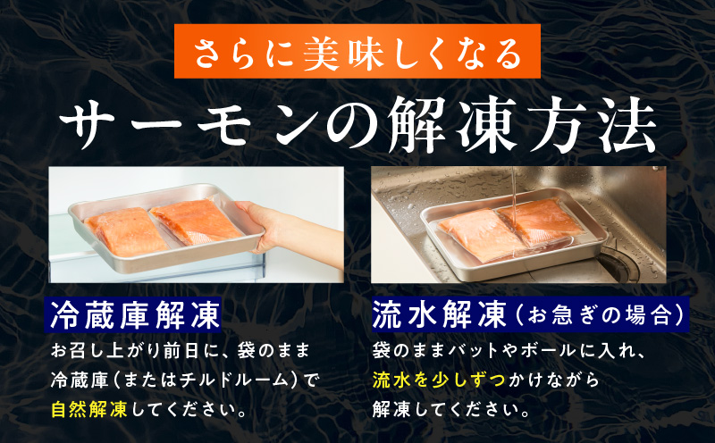 お刺身用 サーモン トラウト 1kg【小分け 約250g×4P ポーション ブロック 柵 訳あり サイズ不揃い さーもん 数量限定 大阪 泉佐野 大阪府 泉佐野市】